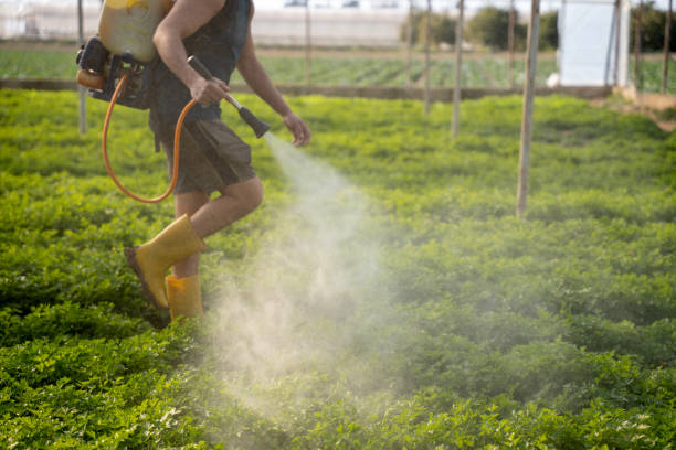 Best Ant Control Services  in Milan, MO