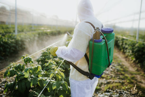Best Pest Inspection Near Me  in Milan, MO